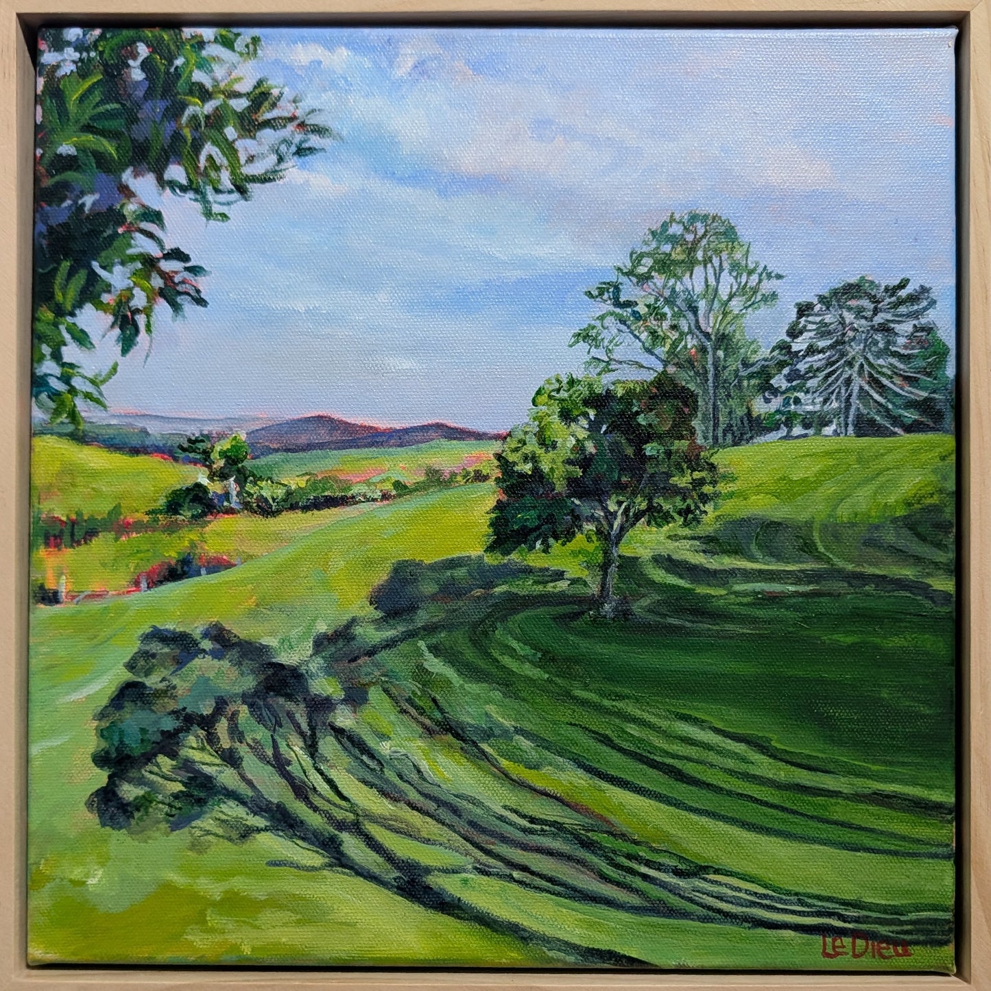 Valley Vista