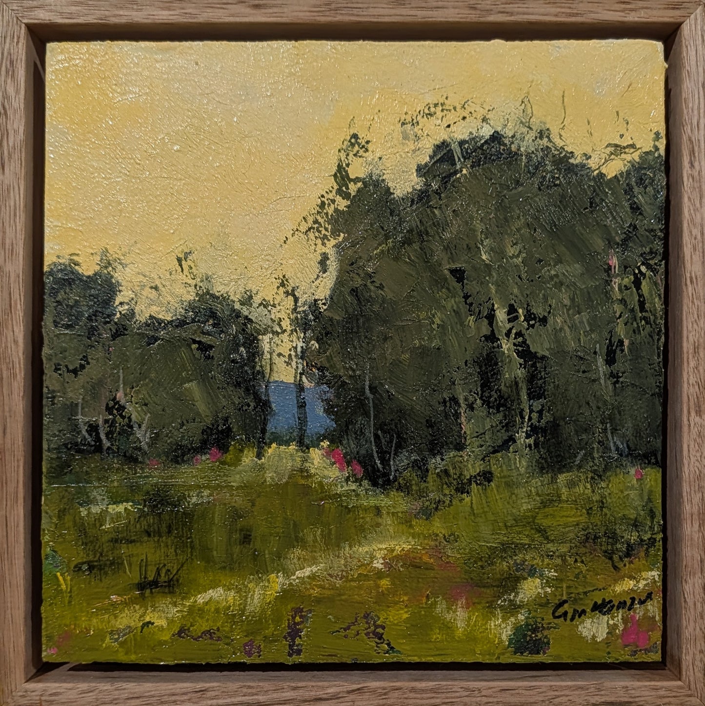 Spring Landscape #1