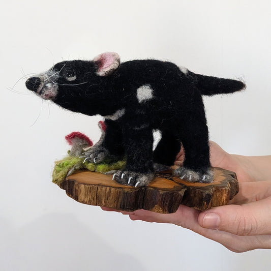 Tasmanian Devil