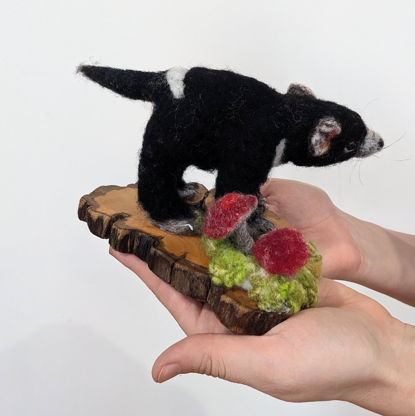 Tasmanian Devil