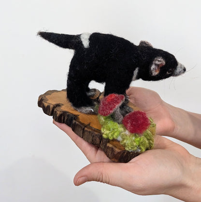 Tasmanian Devil