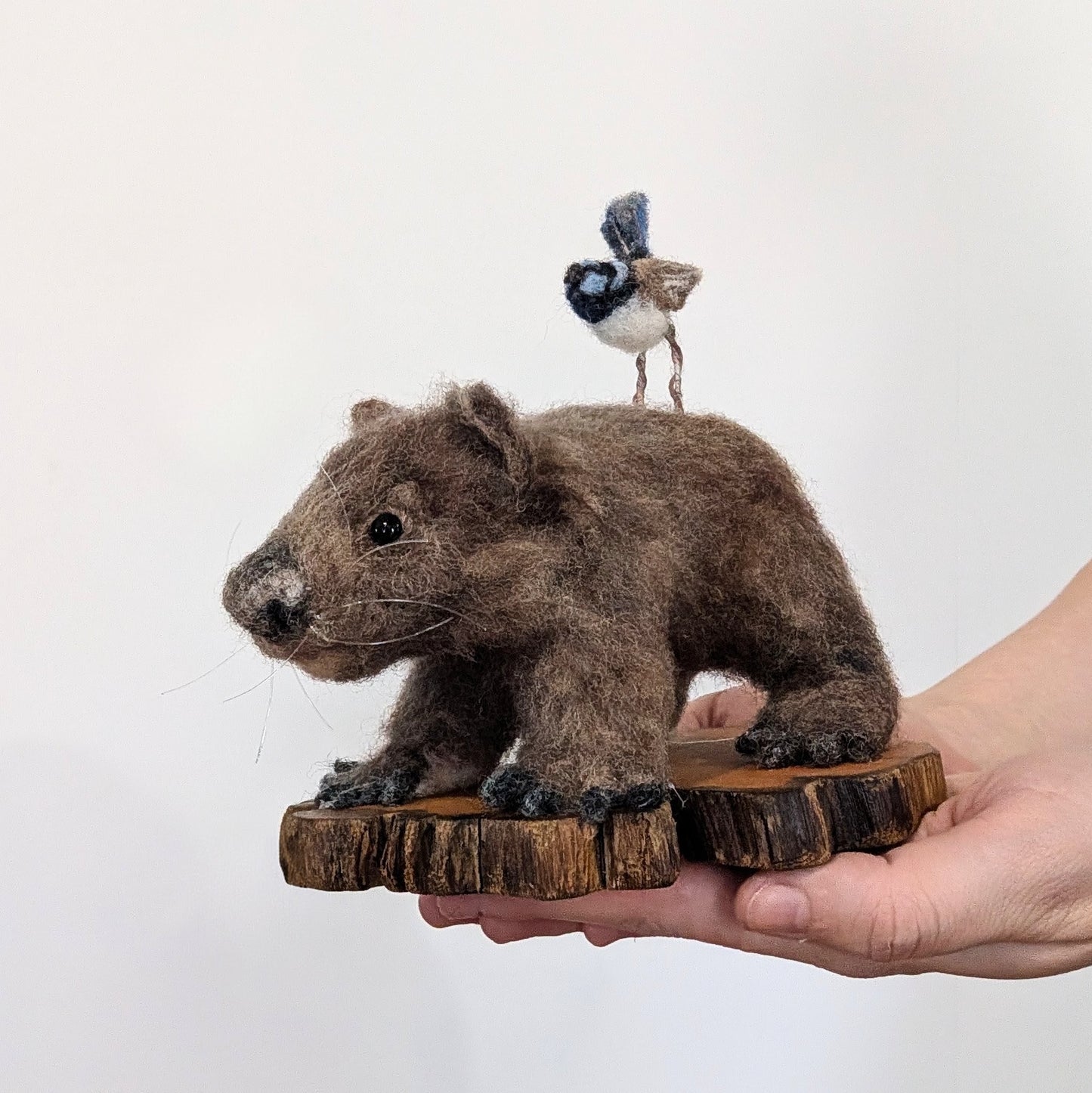 Wombat and friend
