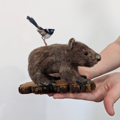 Wombat and friend