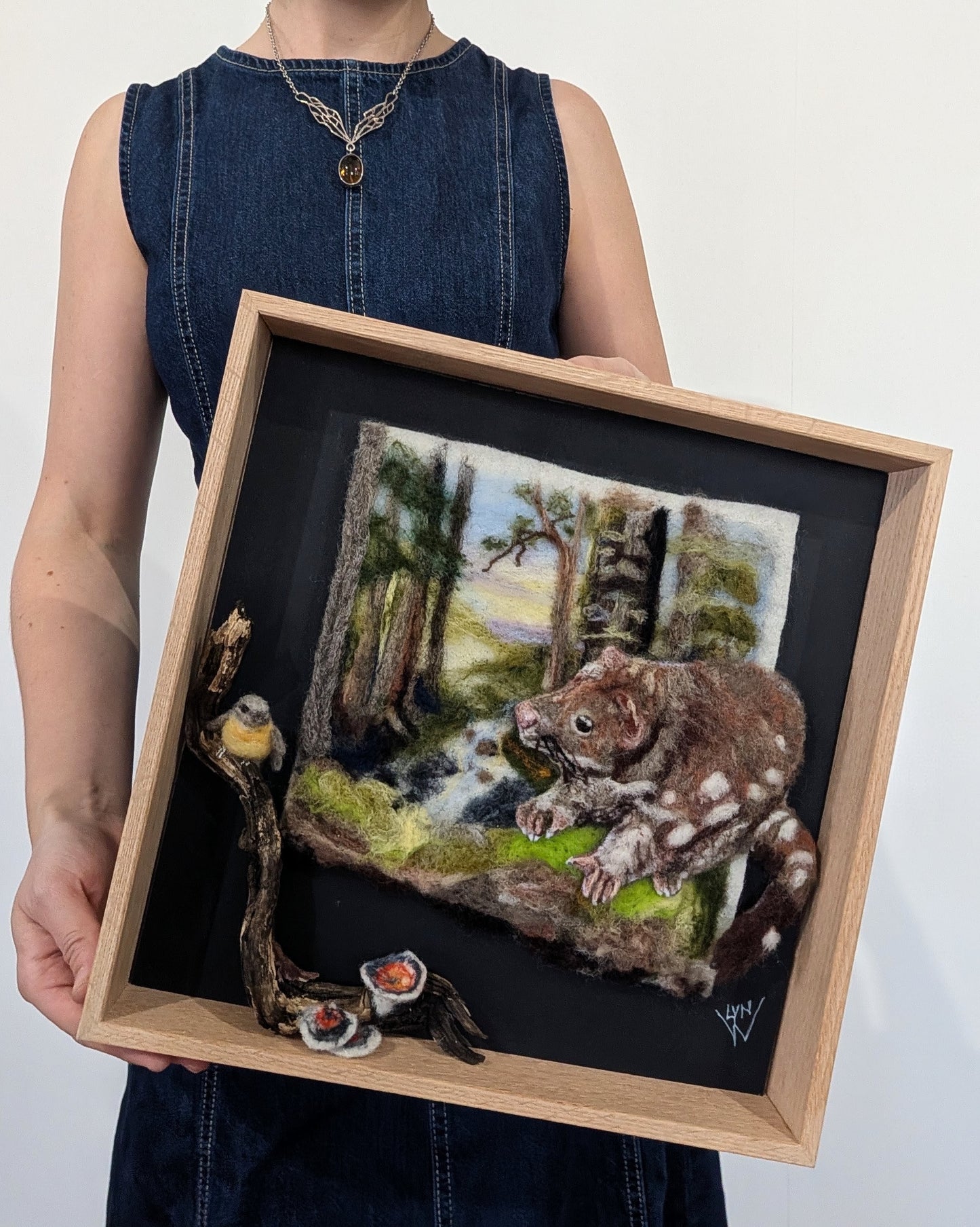 Quoll Country