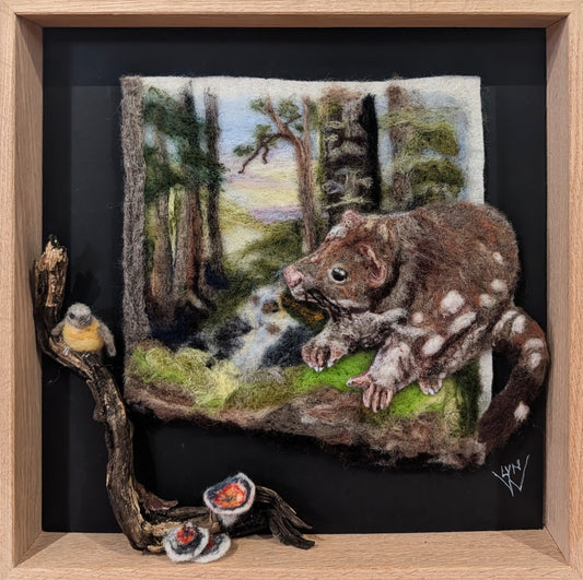 Quoll Country