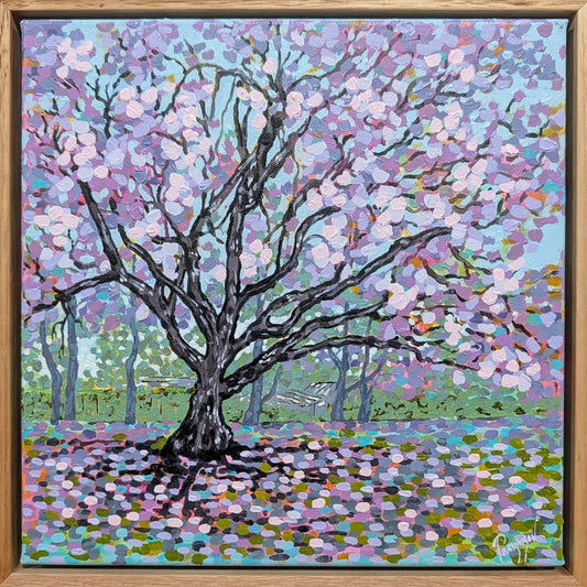 A Jacaranda with a View