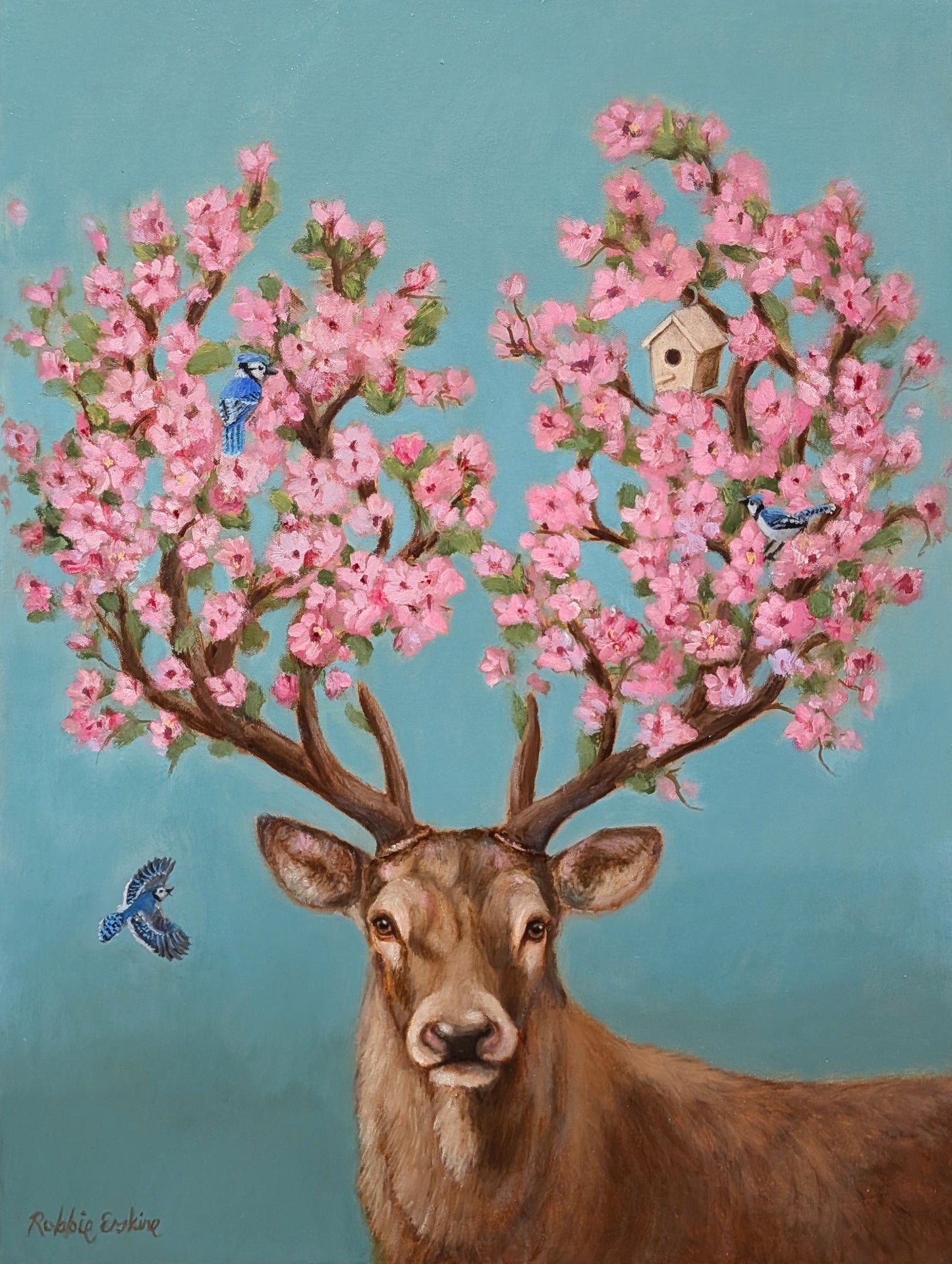 Deer Spring