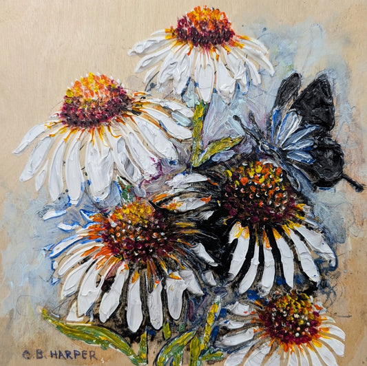 Ulysses Butterfly and White Daisys