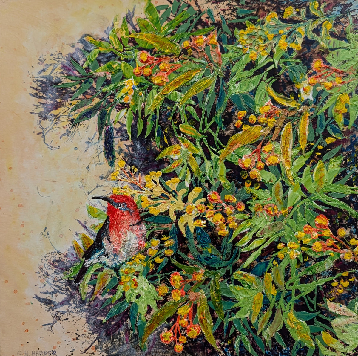 Australian Wattle and Scarlett Honeyeater