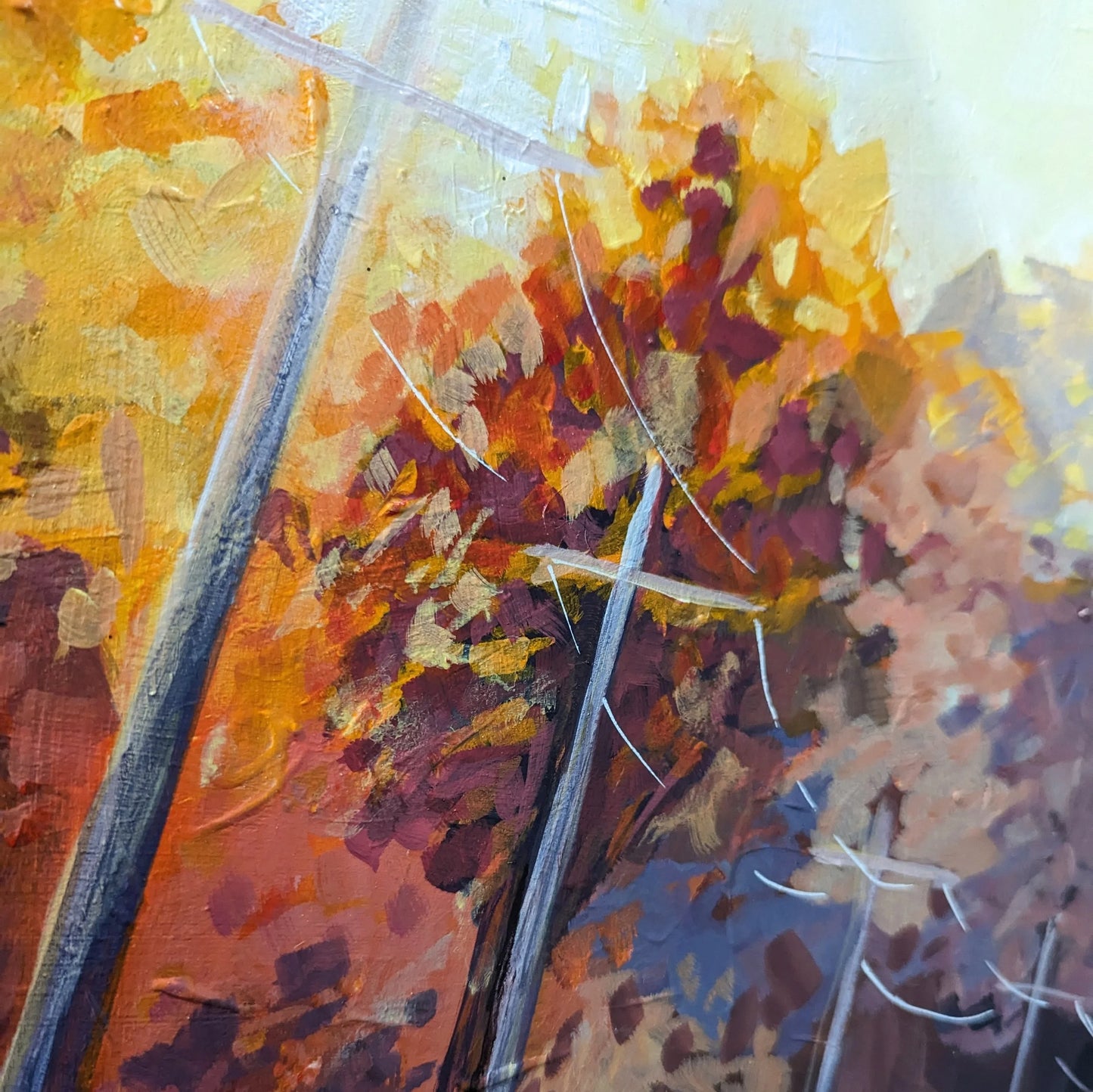 Late Afternoon In July