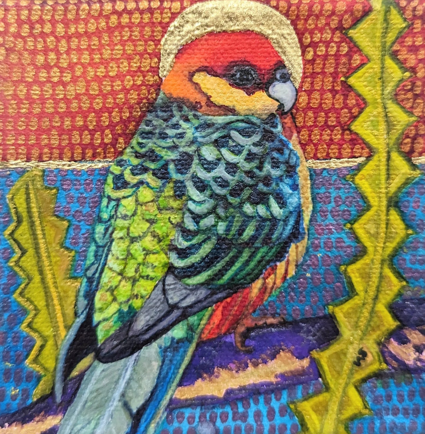 Mr Rosella with golden halo