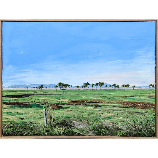 Endless Summer Drive-by