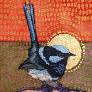 Mr Wren with a golden halo at sunrise