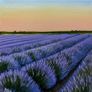 Lavender mini