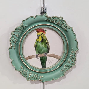 Fancy Feathers Budgie