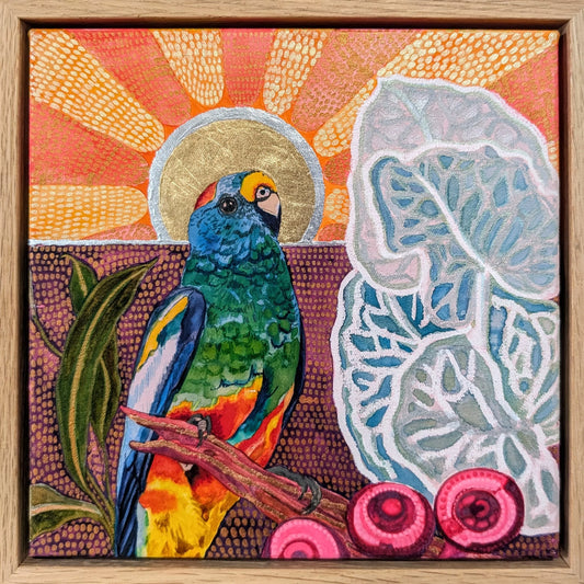 Mr Orange Belly in a Golden Sun