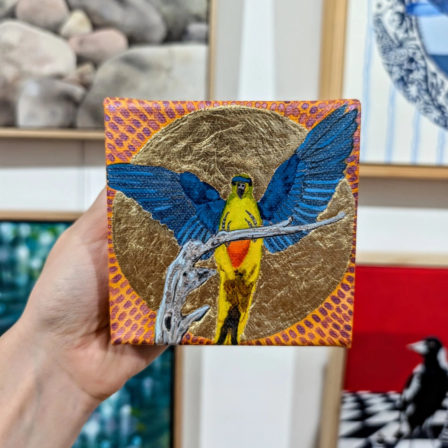 Mr Orange in a golden sun