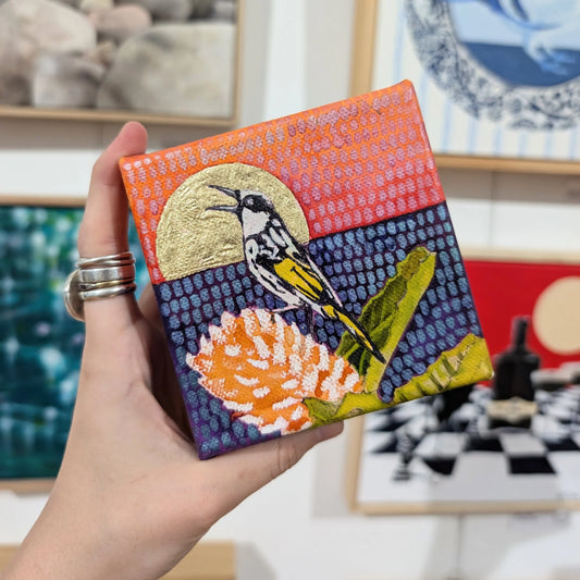 Mr Honey in a golden sun