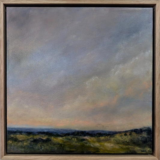 Big Sky over the Back Paddock