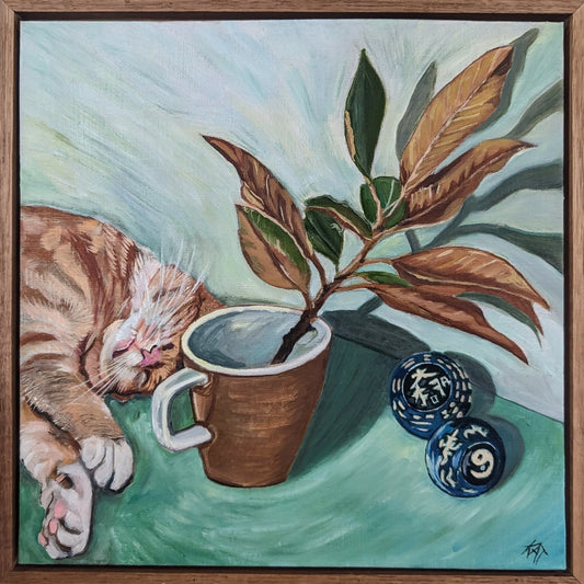 Marcia, Marcia, Marcia