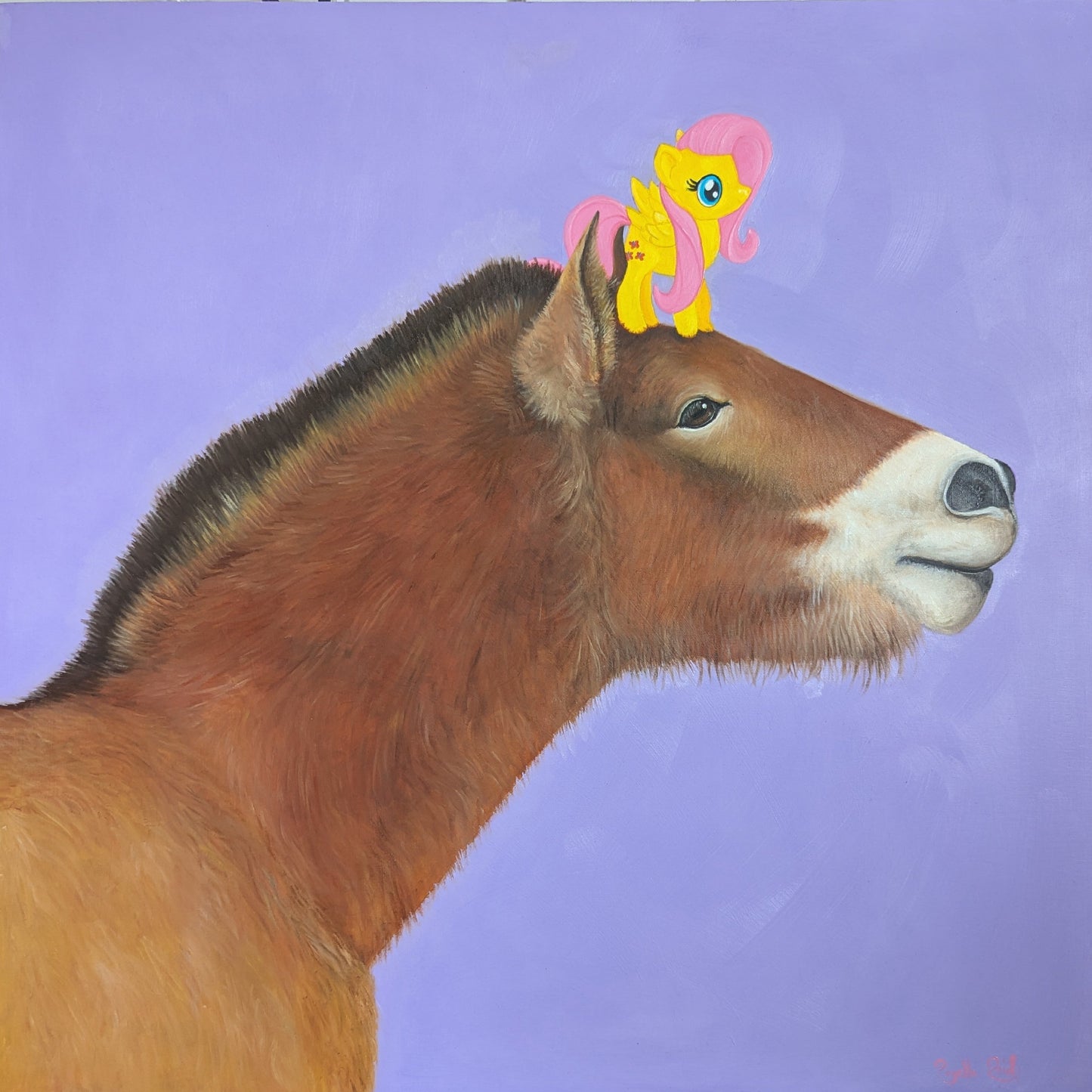 Imitation of Life - Przewalski's Horse