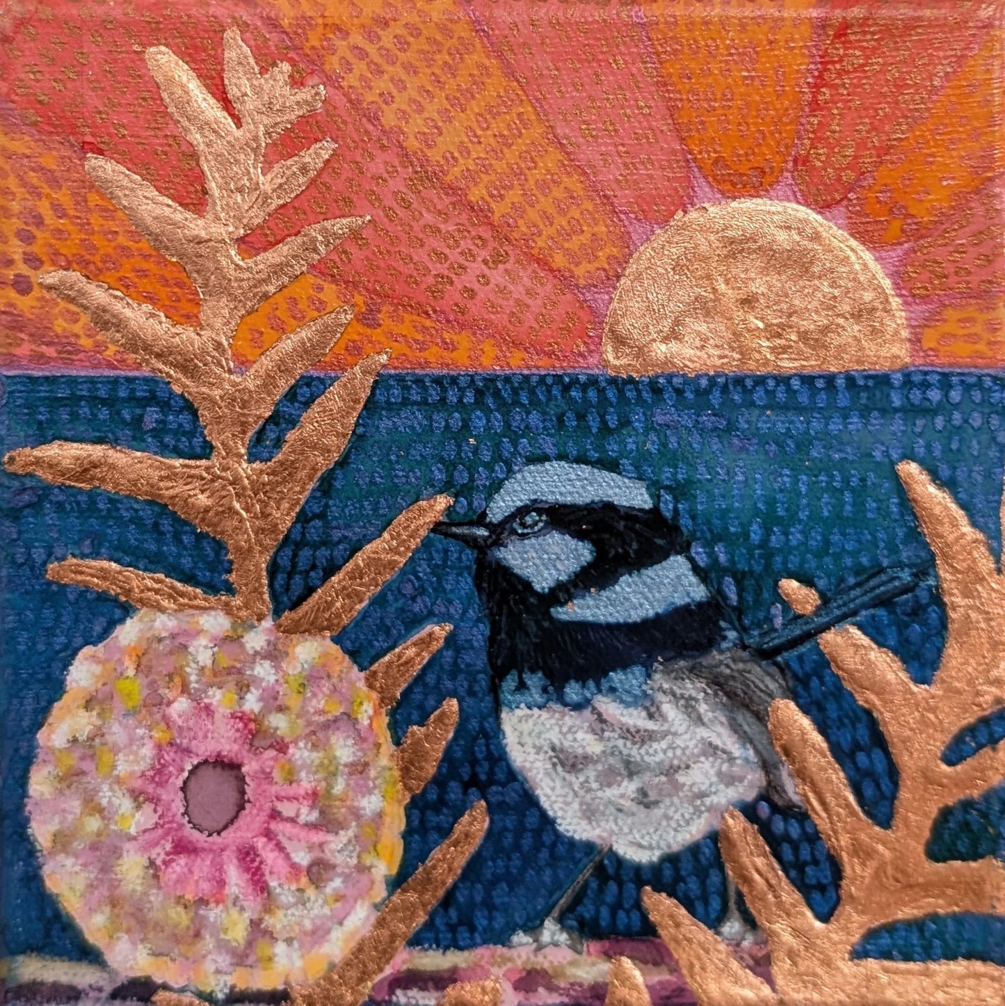 Mr Blue with banksia in a golden sunset