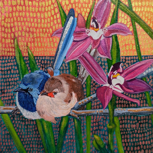 Blue Lovers with pink sun orchids