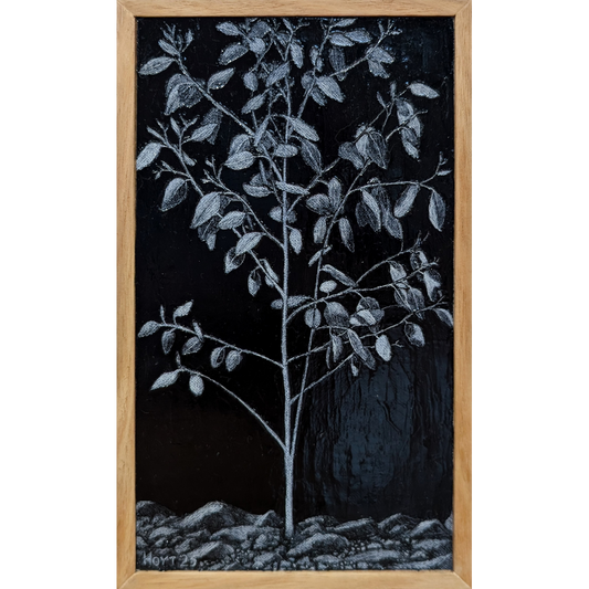 Stoney Creek, Gariwerd #9.