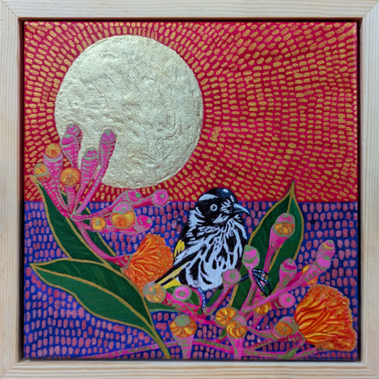 Mr Honey with pink gum-nuts under a golden sun