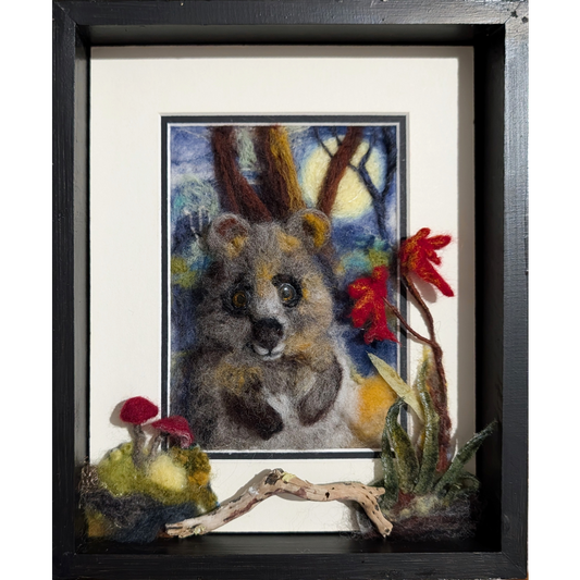 Quokka Night