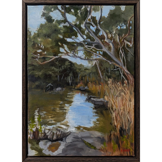 River Red Gum Walk