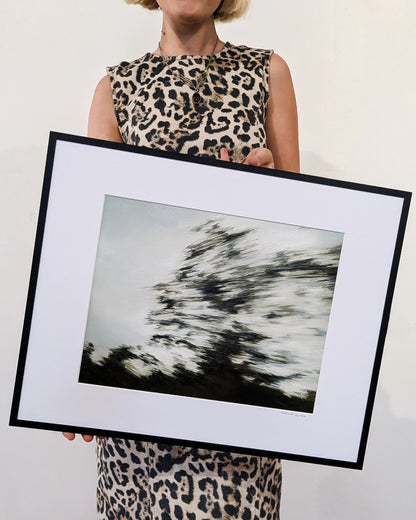 Trees in motion#1