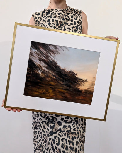 Trees in motion #2