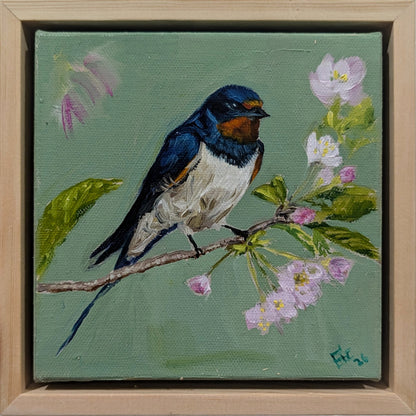 Spring's Orchard Visitor
