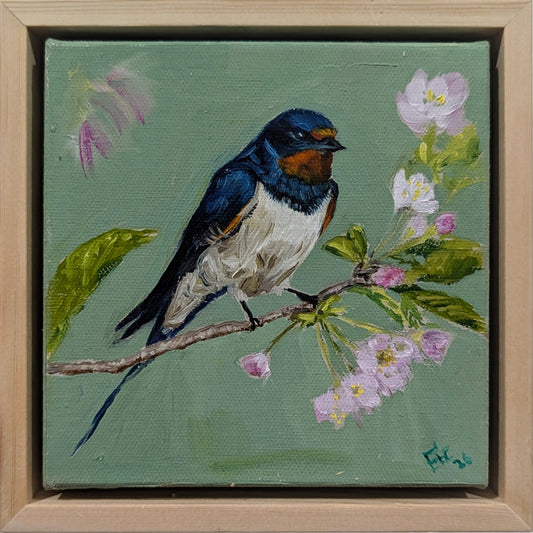 Spring's Orchard Visitor