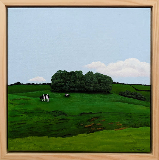 Penny's Paddock
