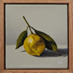 Tiny Treasure 56