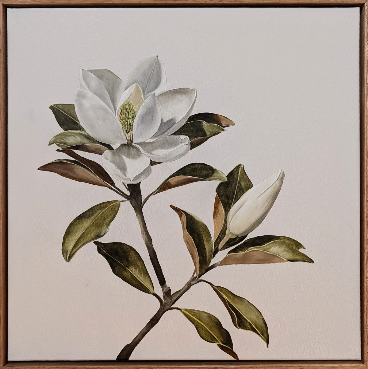 Miss Magnolia