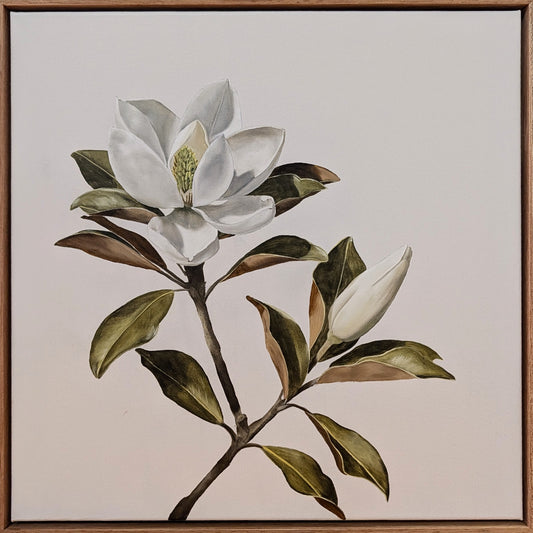 Miss Magnolia