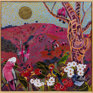 Galah flock, wren, and parrots among Adelaide daisies on Brown Hill