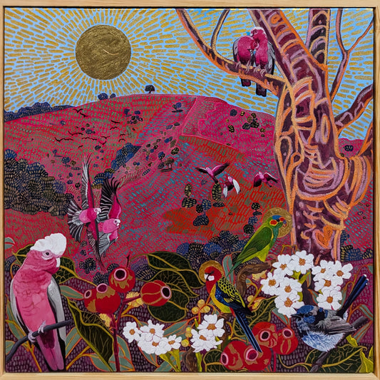 Galah flock, wren, and parrots among Adelaide daisies on Brown Hill