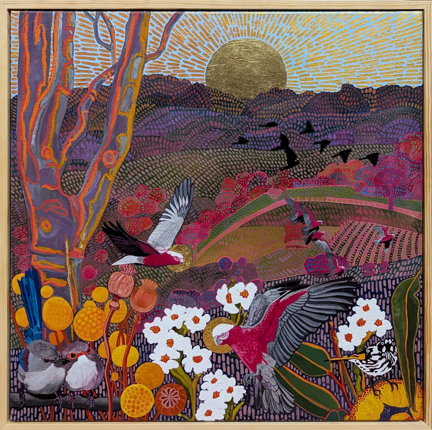 ‘Wren lovers with Galahs and a flock of Black Cockatoo’s looking out towards Mt Lofty’