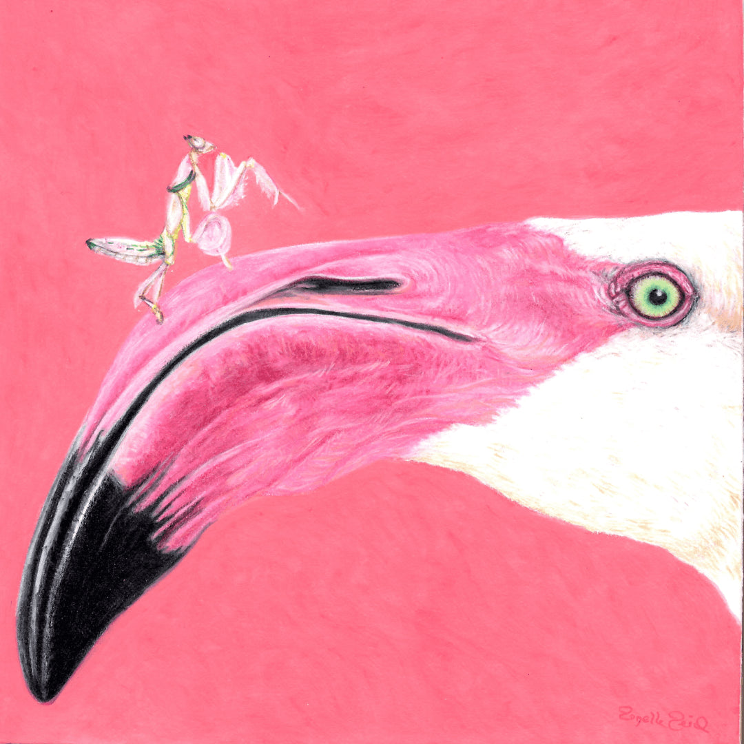 Pink