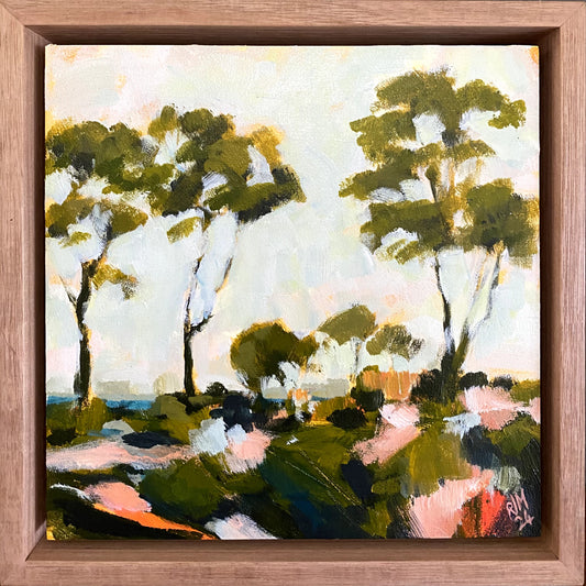 Back Paddock Ramble V