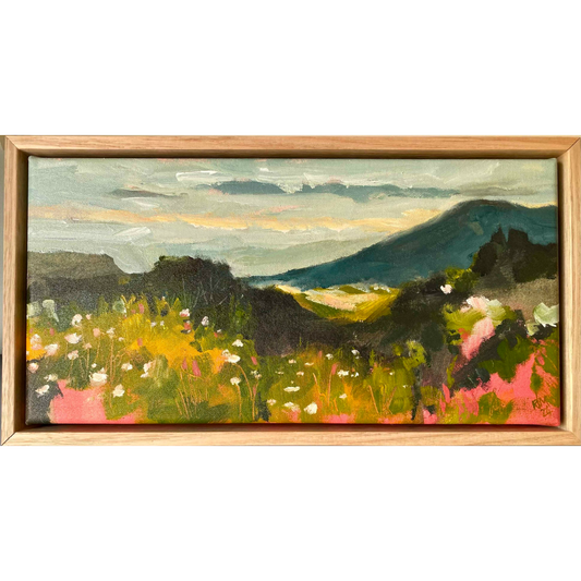 View From Old Beach Hill, Hobart