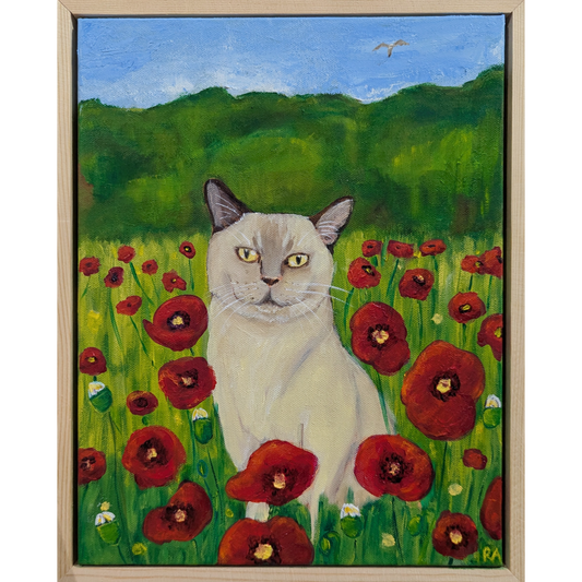 Cat Among Poppies