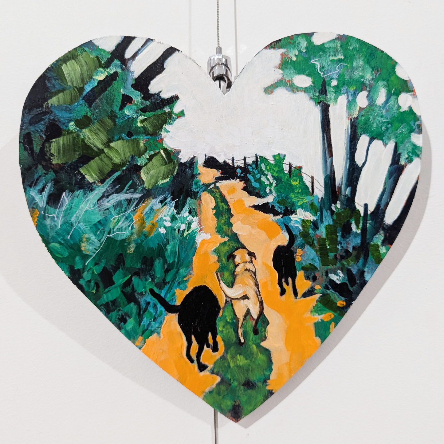 A Forest Adventure - Looking for Possums