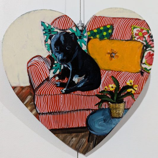 Best Seat in the House - Blue Staffie on the Couch