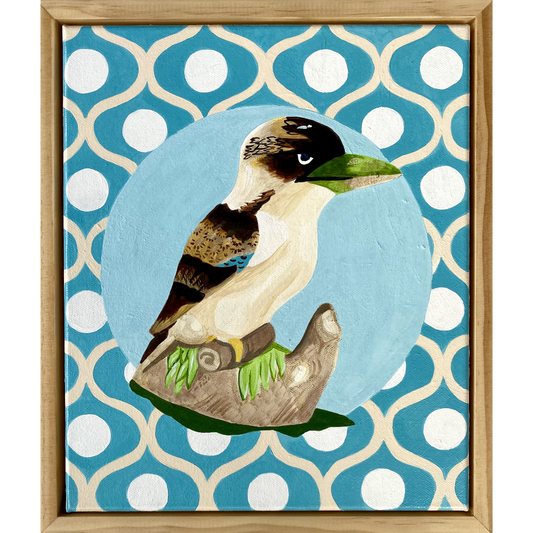 Kookaburra Blue