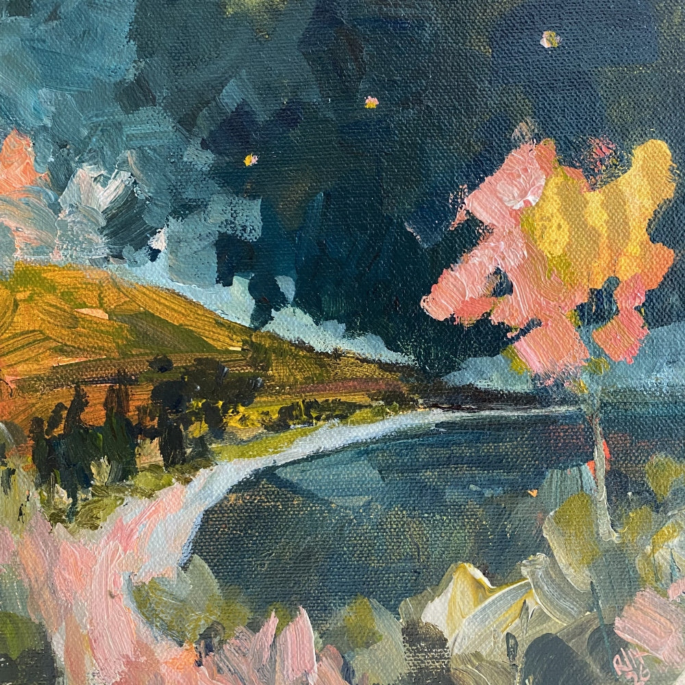 llawarra Coast Evening Study i